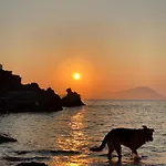 Milos Island -cavo Paradiso Boutique Ochen House 플라카