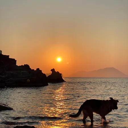 Milos Island -cavo Paradiso Boutique Ochen House 플라카